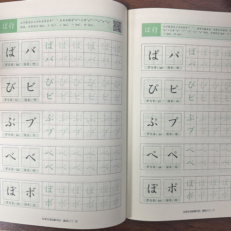 Chinese Calligraphy Practice Book - Japanse Hiragana & Katakana oefenboek voor