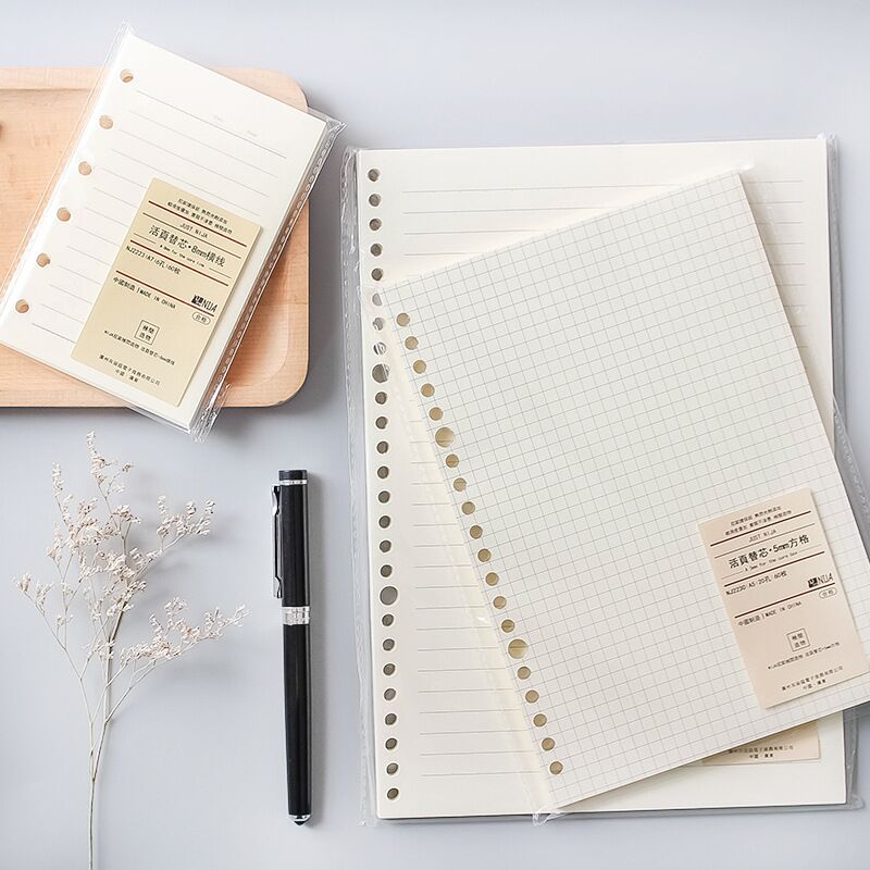 A5 Spiral Dotted Grid Notebook - A5 B5 20 Gaten Losbladige Notebook
