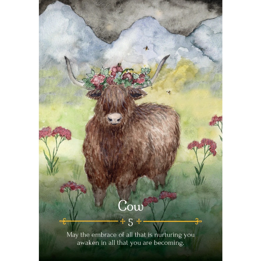 11*6.5Cm Seizoen Van Heks Orak - Tarot Deck With Guidebook recensie en prijs