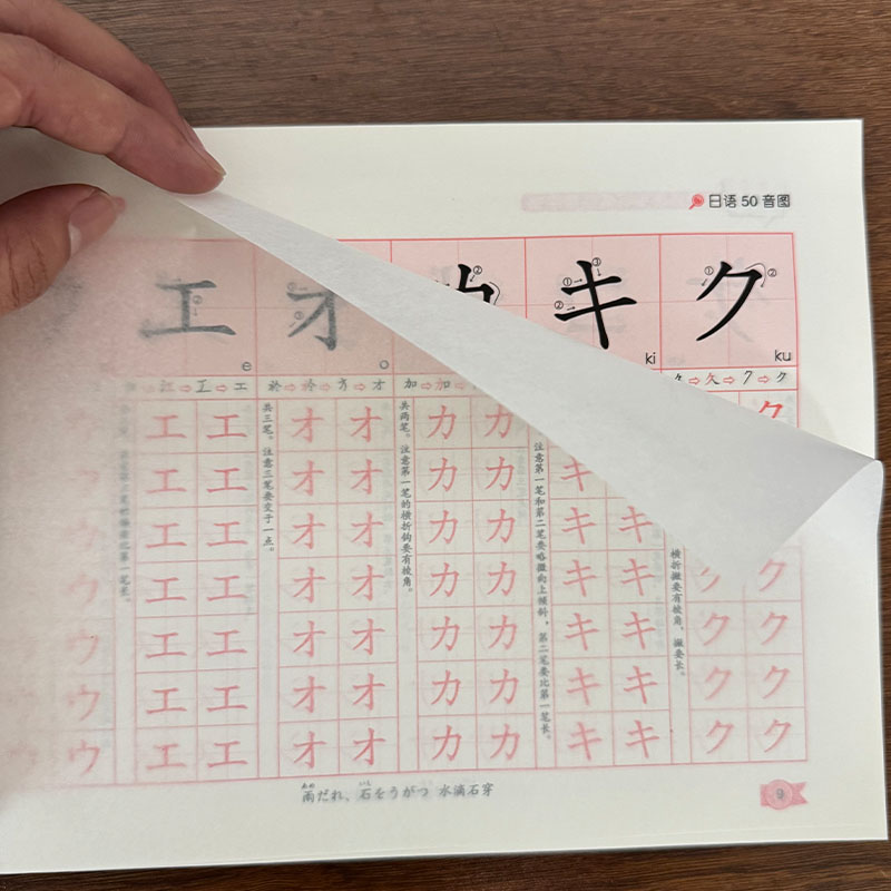 Zero Beginner Japans Hiragana  - Chinese Calligraphy Practice Book recensie en prijs